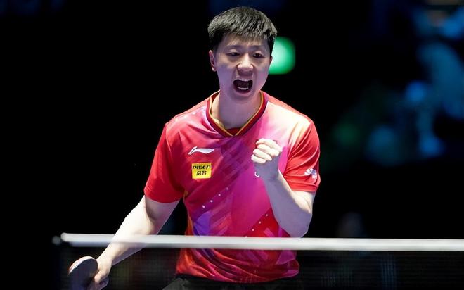 共同作用的 共同作用的