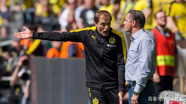 将可能为新 将可能为新