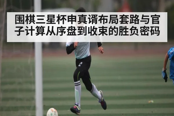 围棋三星杯申真谞布局套路与官子计算从序盘到收束的胜负密码